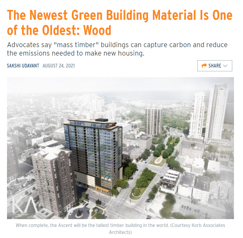 The Newest Green Building Material Is One of the Oldest: Wood