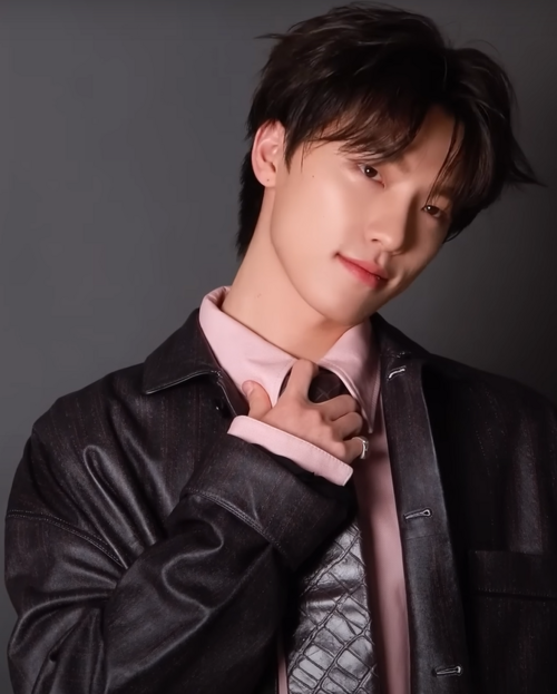 Photo of Dino from Seventeen. Used as an example to show what it's like to feel that your KPOP bias is underrated.